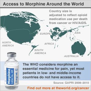 Access to Pain Medication around the World